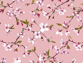 cherry blossom, flower, pattern, floral, seamless, vector, illustration, nature, spring, blossom, design, wallpaper, decoration, flowers, pink, cherry, tree, art, leaf, beauty, plant, texture, branch,