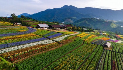 Fototapeta premium Aerial view of Puncak Tonang Flower Garden Tourism 