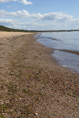 Pebbled Shoreline and Calm Sea in Estonia