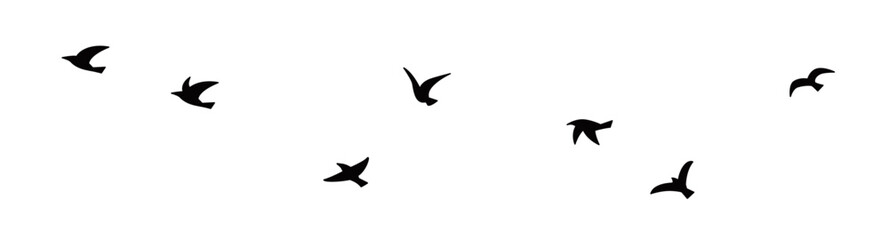 Simple bird_2