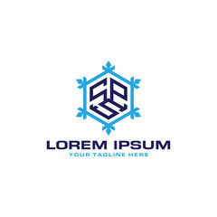 Snowflake-Themed Tech Logo with Abstract Geometric Symbol