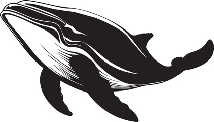 whale vector illustration