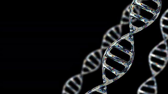 Transparent, iridescent DNA double helix. Rotating holographic glass molecular structure, soft focus. Ideal for medical, scientific, biotech. 4K loop 3d rendering animation, alpha channel.