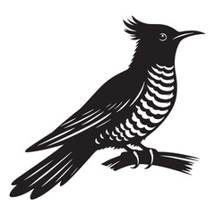 Cuckoo silhouette with delicate shape – Cuckoo illustration – Minimalist Cuckoo vector – Bird silhouette – Bird vector

