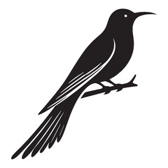 Fototapeta premium Quiet Flight Cuckoo silhouette – Cuckoo illustration – Minimalist Cuckoo vector – Bird silhouette – Bird vector