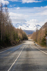 Fototapeta premium Asphalt road leading to snow-covered Akturu ridge in Kurai steppe valley Altai, Russia