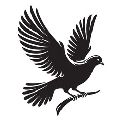 Fototapeta premium Feathered Grace Dove silhouette – Dove illustration – Minimalist Dove vector – Bird silhouette – Bird vector