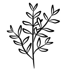 Botanical leaves branch outline 