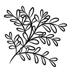 Botanical leaves branch outline 
