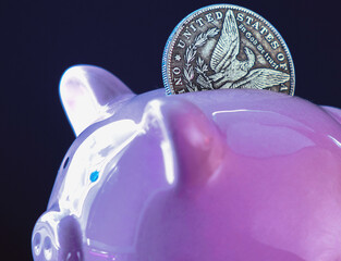 Pink piggy bank with coin as symbol of economy, business, investment. Conceptual image. Macro image.