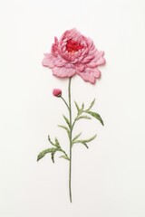 Fototapeta premium Little Peony embroidery pattern flower.