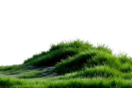 Lush green grass hills forming gentle waves under bright light
