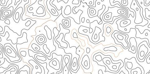 Black and white wavy abstract topographic map contour, lines Pattern background. Topographic map and landscape terrain texture grid. Wavy banner and color geometric form. Vector illustration.	