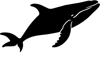 vector silhouette of a whale