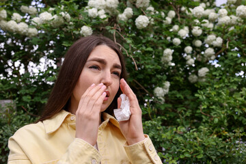 Woman with paper tissue suffering from seasonal pollen allergy near blossoming shrub on spring day,...