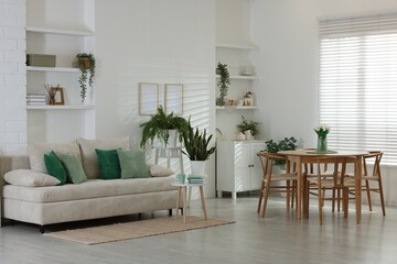 Comfortable sofa, table, chairs and green houseplants indoors. Interior design