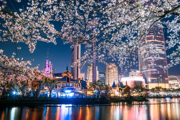 Wanddecoratie Seoel Lotte World at night, spring and cherry blossoms blooming around Seokchon Lake, Seoul, South Korea  © Ozone foto