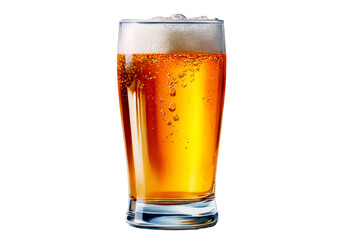 Refreshing amber beer served in a tall glass with bubbles