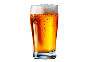 Refreshing amber beer served in a tall glass with bubbles