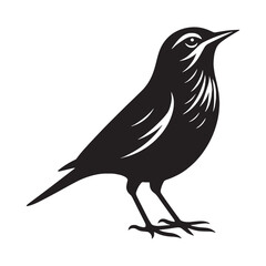 Fototapeta premium Soaring Sky Lark silhouette with spread wings – Lark illustration – Minimalist Lark vector – Bird silhouette – Bird vector