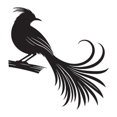 Lyrebird silhouette with detailed feather lines – Lyrebird illustration – Minimalist Lyrebird vector – Bird silhouette – Bird vector


