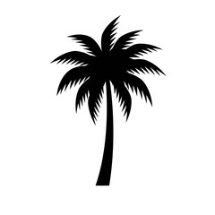 palm tree silhouette isolated on transparent background, png image 
