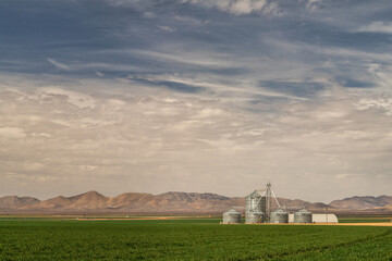 Grain silo in the desert