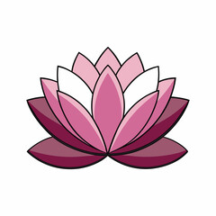 Pink Lotus Flower in Bloom