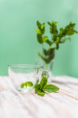 Tea cup with fresh mint leaves on a table on a green background with copy space. Health benefits of peppermint tea concept.