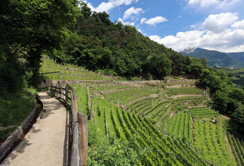 Obraz premium Landschaft