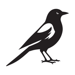 Minimalist Magpie silhouette with contrast – Magpie illustration – Minimalist Magpie vector – Bird silhouette – Bird vector

