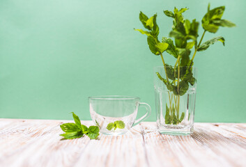 Tea cup with fresh mint leaves on a table on a green background with copy space. Health benefits of...