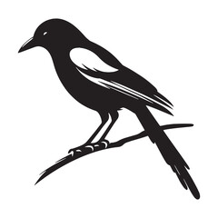 Sharp Lines Magpie silhouette – Magpie illustration – Minimalist Magpie vector – Bird silhouette – Bird vector

