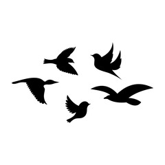 Obraz premium Flock of birds flying in a circle, vector illustration