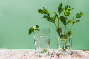 A glass with fresh mint leaves water on a table on a green background with copy space. Health benefits of peppermint water  concept.