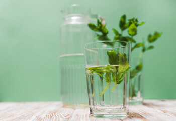 A glass with fresh mint leaves water on a table on a green background with copy space. Health benefits of peppermint water  concept.