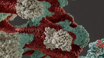 Molecular structure with blue, red, and white elements, representing a complex biological process or medical research data. - Powered by Adobe