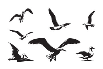 Obraz premium Bird Silhouette vector art illustration. black bird vector design.