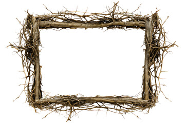 Root Border Frame isolated on white background PNG 