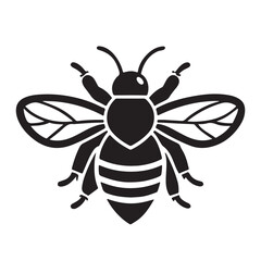 bee vector Illustration