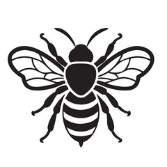 bee vector Illustration