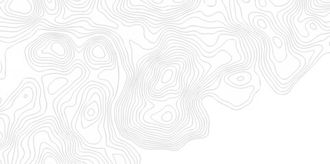 Fototapeta premium Abstract minimal The patter discovery vector topo map creative discovery White wave grid stripe line map topography. vector geographic contour mounted map background. 