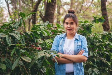 Smart farmer women holding smartphone digital tablet in eco green farm check quality control coffee tree. Woman worker Hands pointing screen device use technology planting tree in eco biotechnology