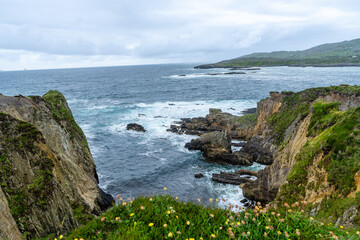 Zerklüftete Küste der Beara-Halbinsel mit Blumen
