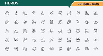 Herbs icon set. Related to organic, spice, herbal, herb and more. Herb icon set. Modern icons collection. Pixel perfect. Editable vector.