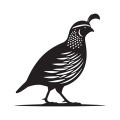 Subtle Presence Quail silhouette – Quail illustration – Minimalist Quail vector – Bird silhouette

