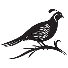 Fototapeta premium Quail silhouette in still woodland pose – Quail illustration – Minimalist Quail vector – Bird silhouette