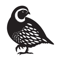 Subtle Grace of Quail silhouette – Quail illustration – Minimalist Quail vector – Bird silhouette

