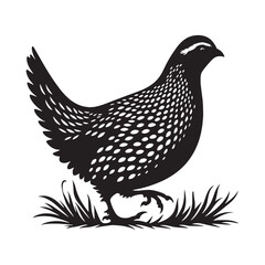 Feathered Quail silhouette with soft curves – Quail illustration – Minimalist Quail vector – Bird silhouette

