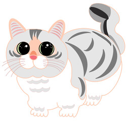 a fat cat